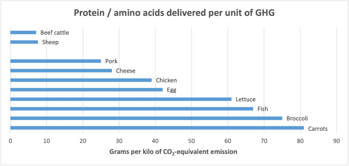 Graph showing protein/amino acids delivered per unit of GHG emissions.