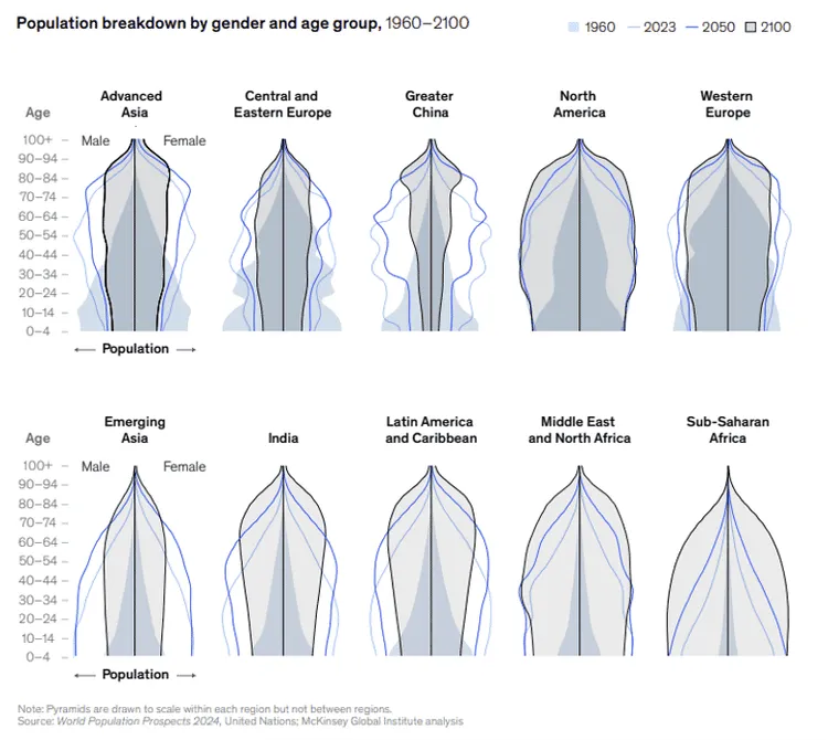 Population pyramid charts showing age and gender distribution across regions from 1960 to 2100.