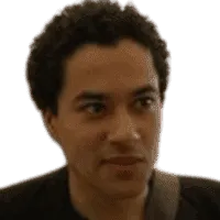 Werner de Gruijter