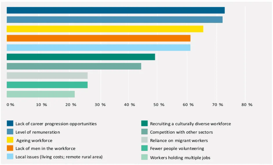 Bar chart of recruitment challenges in social services, measured in percentages, including career progression, remuneration, ageing workforce, and other factors.