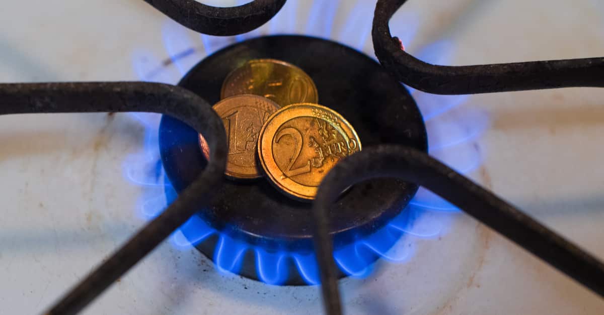 fuel poverty,energy poverty,free green services,carbon tax,energy tax
